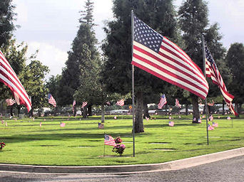 Cemetery grounds with Veterans Day flags throughout...